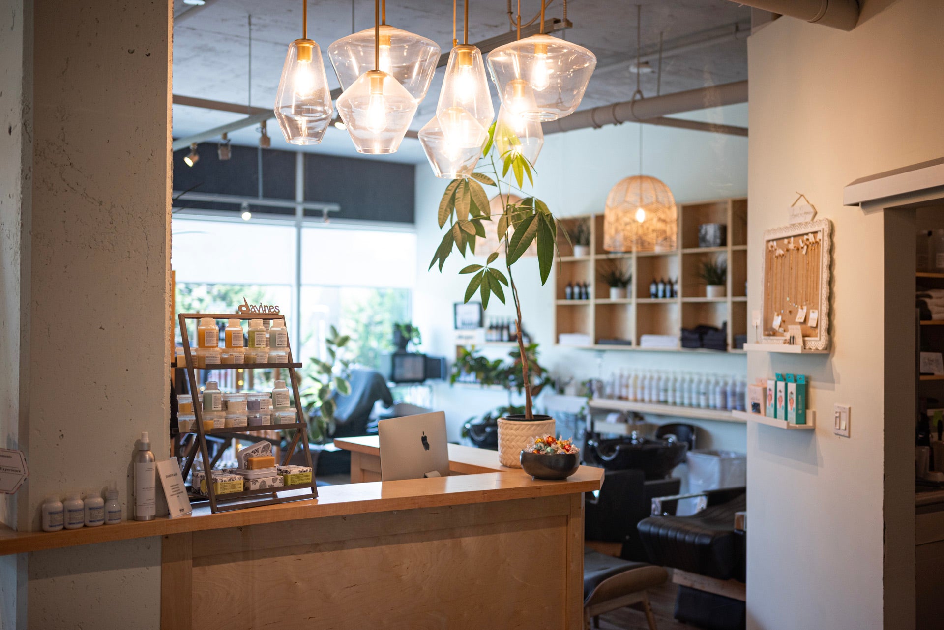 Salon Experience